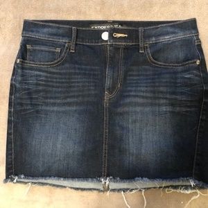 Express Jean Skirt